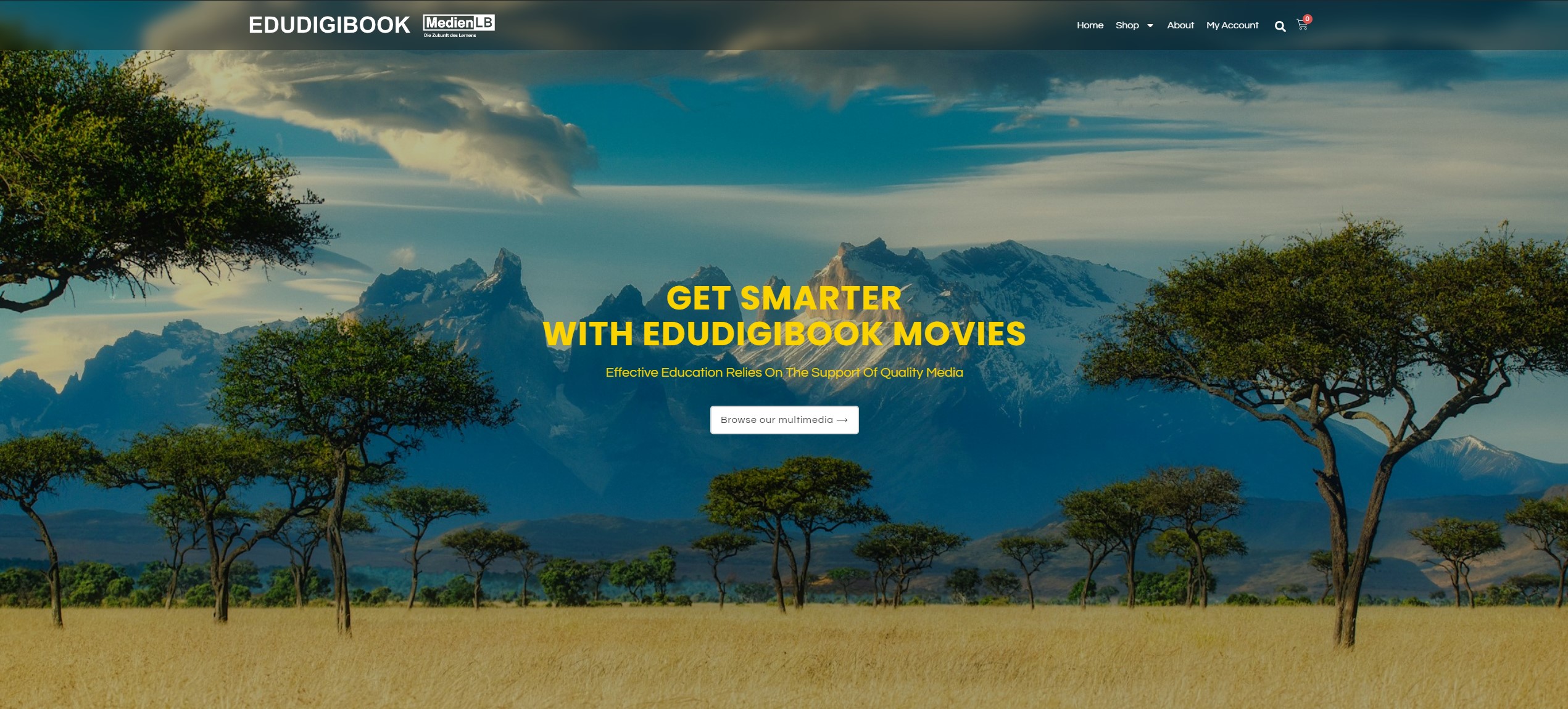 Projektansicht EduDigiBook Online-Shop
